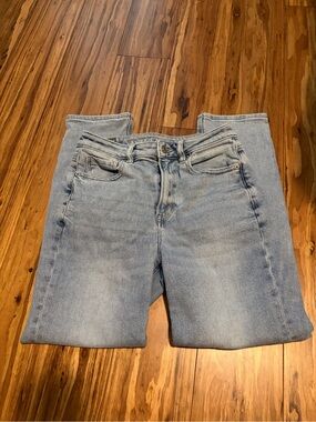 American Eagle Outfitters Light Blue Stretch Short Jeans